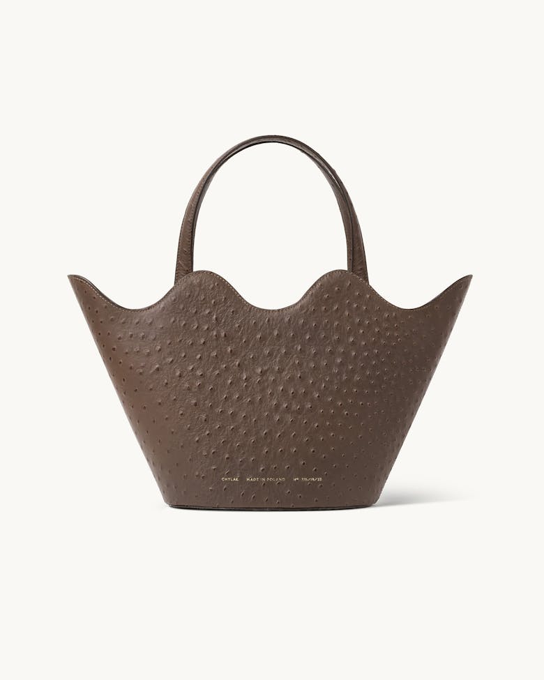 Big Wave Bag “brown ostrich”